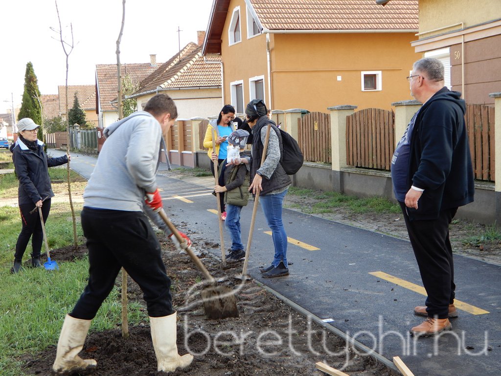 Közösségi faültetés Berettyóújfaluban 69